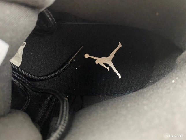 Grey 12 Black Air Wolf CT8013-019 Jordan 1123